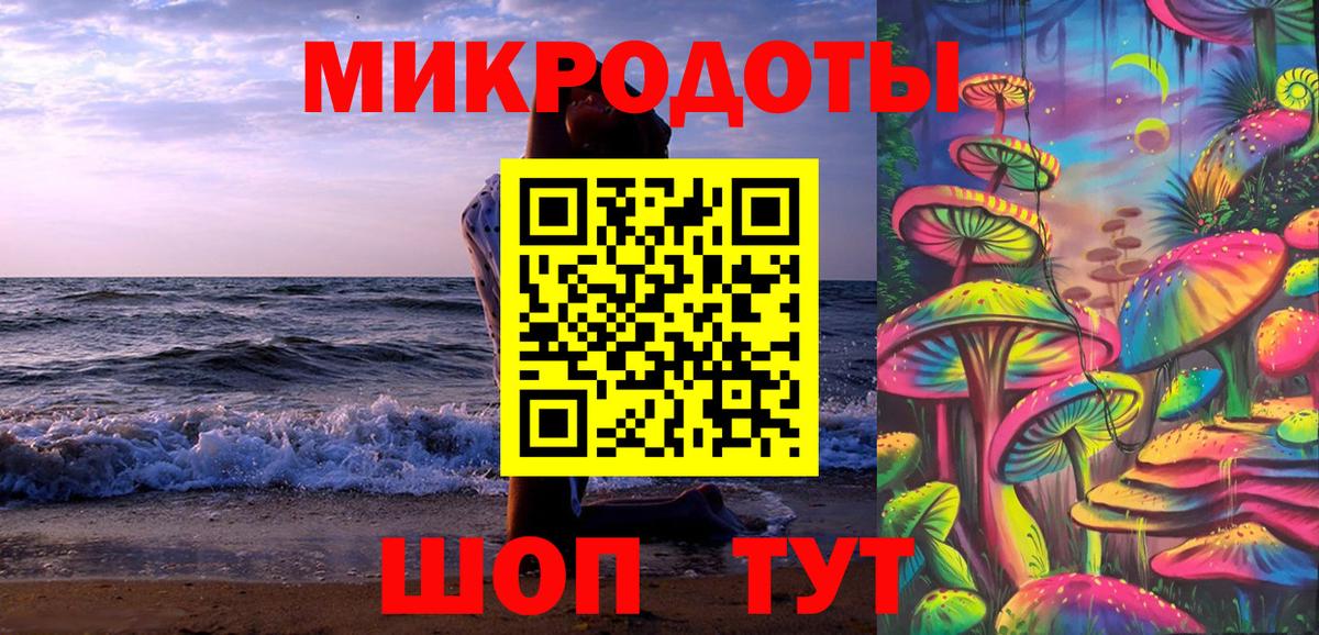 Галлюциногенные грибы Psilocybe Ступино