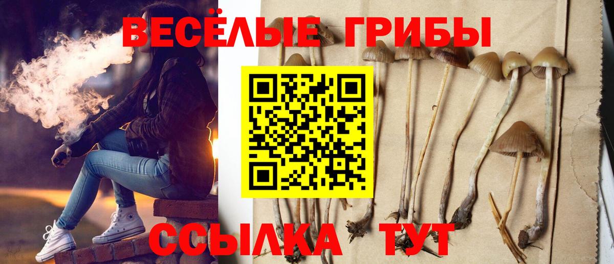 Галлюциногенные грибы Psilocybine cubensis  Галлюциногенные грибы Magic Shrooms  Вход с VPN  Ступино 